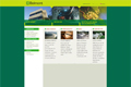 Web site Grupo Belmont